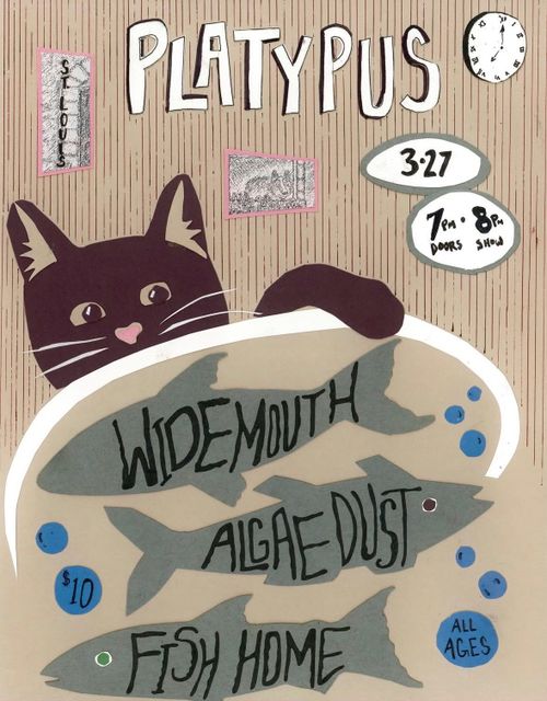 Widemouth, Algae Dust, and Fish Home