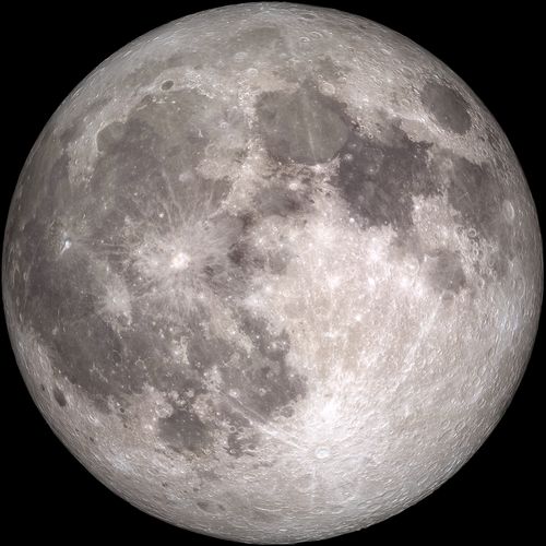 STARGAZING AT TOWER GROVE PARK